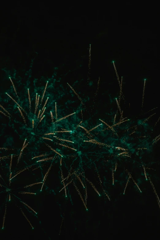 green and yellow fireworks lit up the night sky