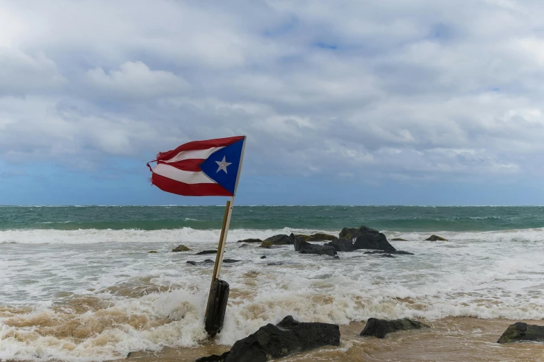 a flag on a post that is in the middle of some water