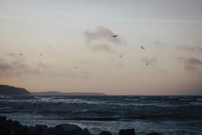 a sea filled with lots of waves and lots of birds flying overhead