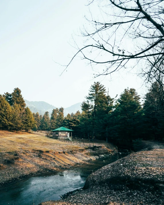 a field with grass, dirt and some trees