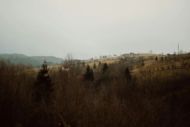 the view from the woods of a hill top