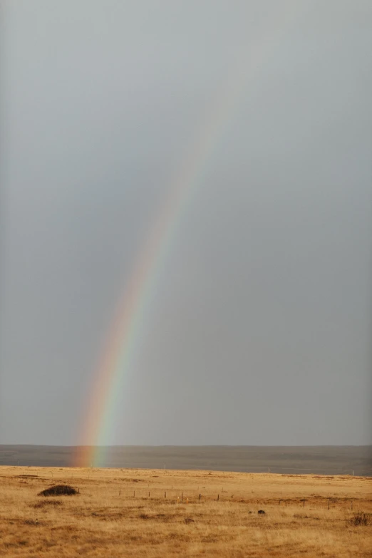 a field with a rainbow in the sky