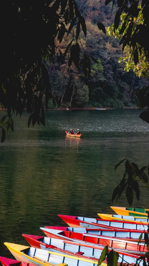 red, yellow and green boats in a lake