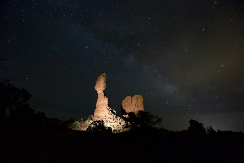 the night sky over the desert with stars and trees