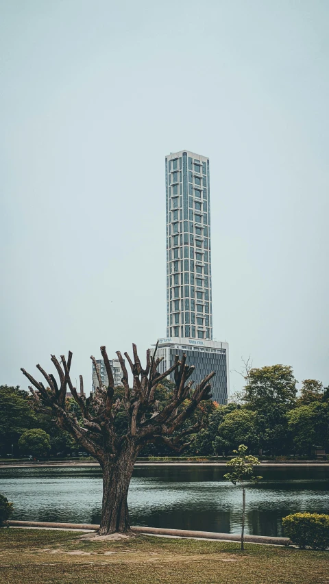 tall building with some trees by the water