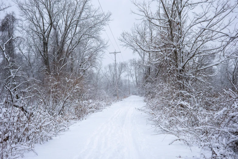 a snow covered road on a cloudy winter day