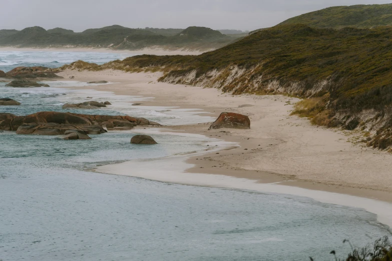 the shore of the ocean is littered with rocks