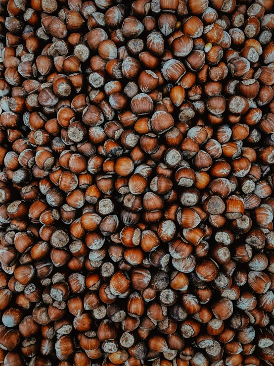 some nuts are seen from the top down on a plate