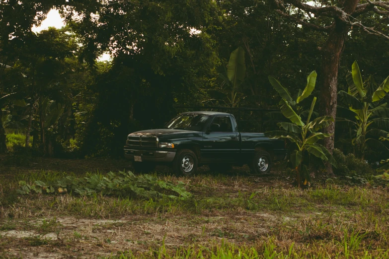 an black truck parked in front of trees