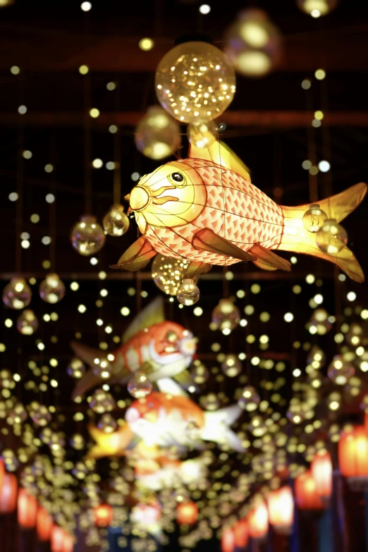 some lights that look like fish and balloons