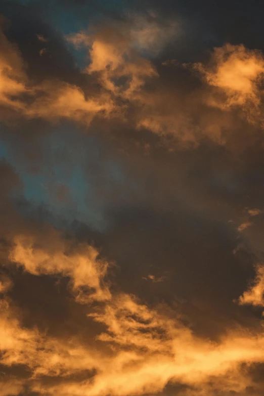 a po taken at sunset with orange clouds and some birds