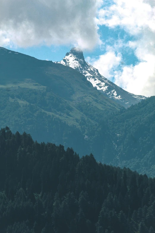 a large mountain that has some trees in it