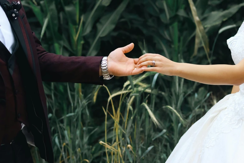 a man and woman standing together in front of corn fields