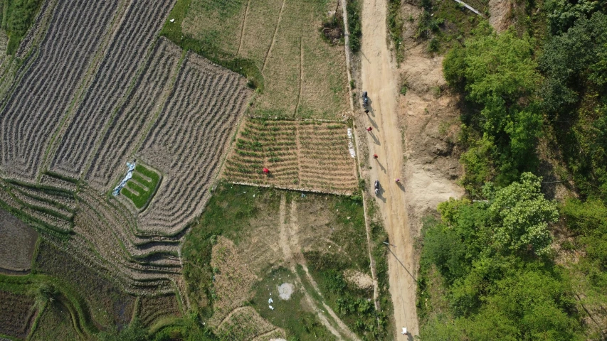 an aerial view of various farmland and trees