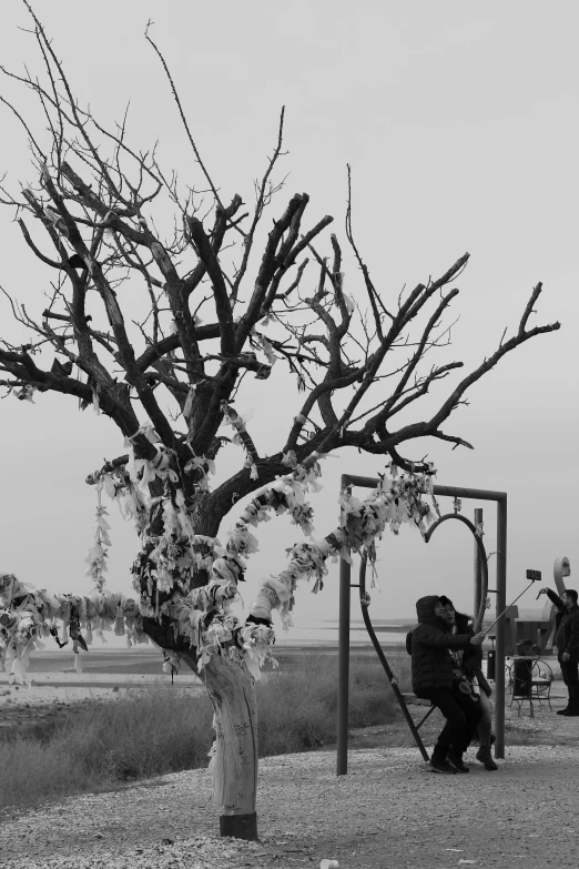 a tree in the foreground, with nches and flowers on it