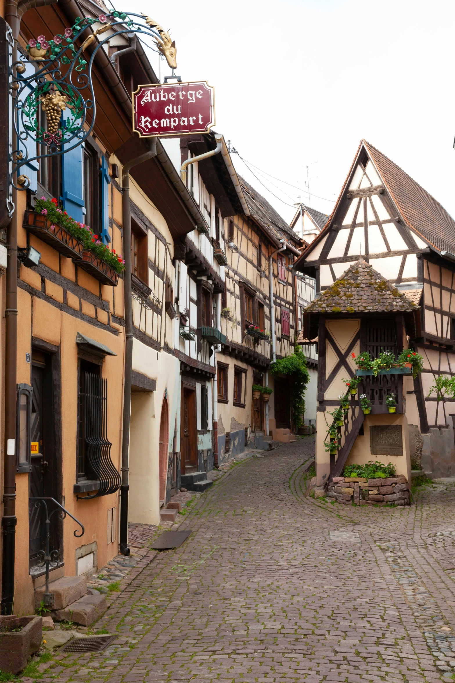 a street with buildings and lots of plants on it