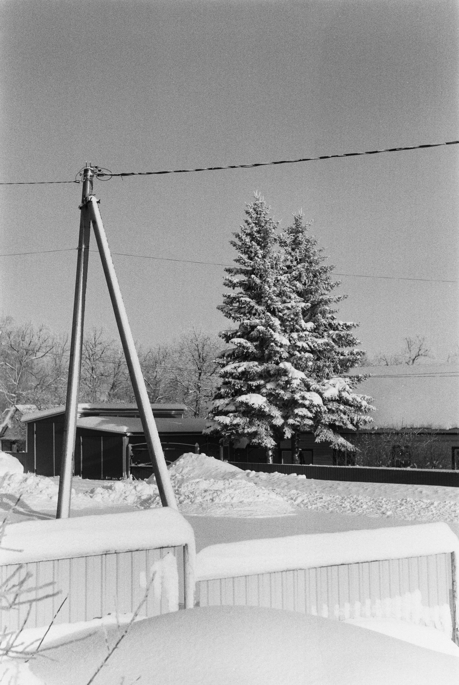 a snowy landscape with snow on the ground and a large tree in the middle