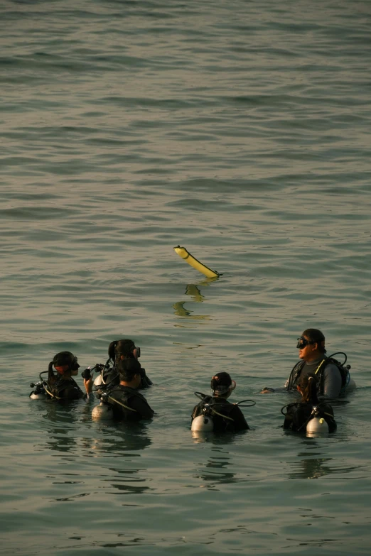 group of scuba workers in calm water with their backs turned to the camera