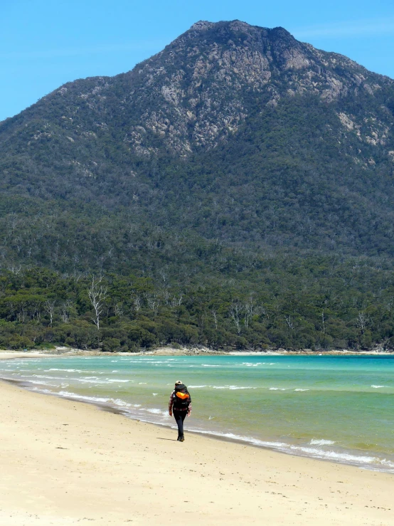 a person walking on the beach next to water