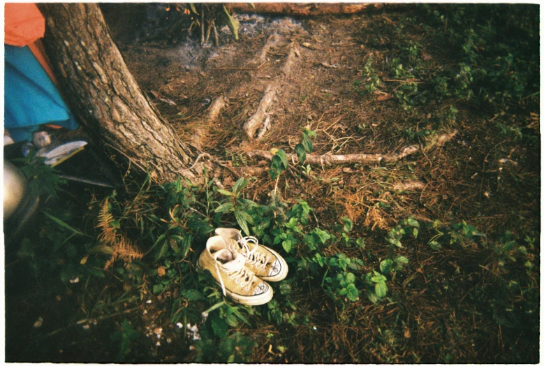 shoes are laying out in the grass by the tree