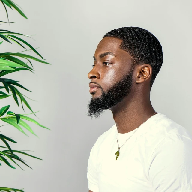 a black man with a goatee, white tee - shirt, and a potted plant