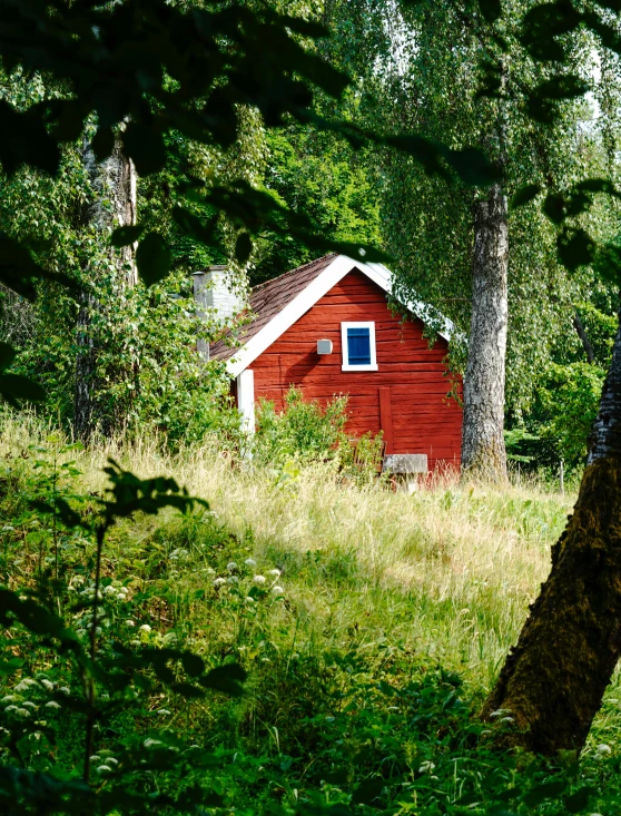 a red barn stands in a field next to a tree