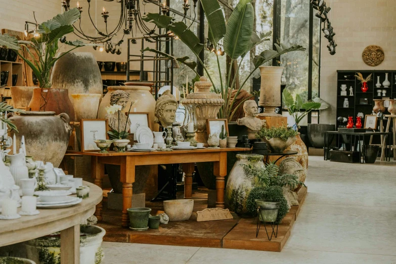 a room filled with furniture and vases covered in plants