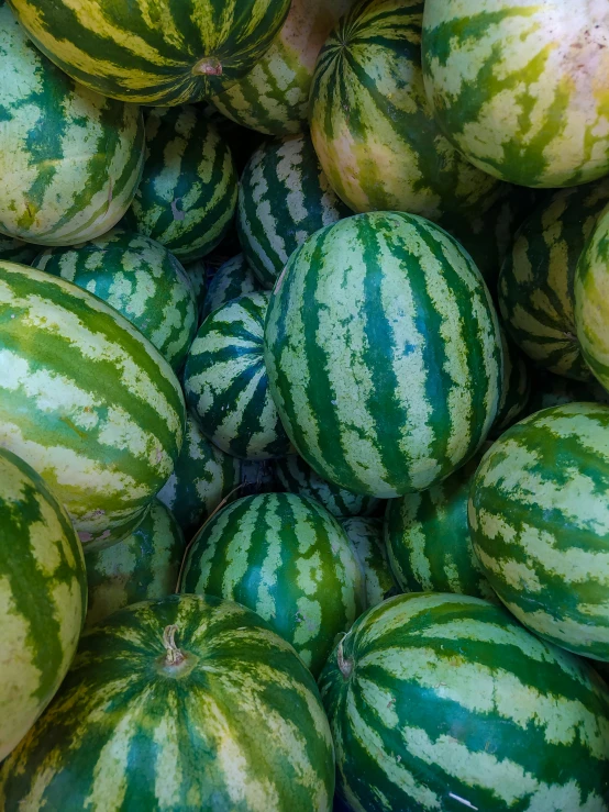 there are many watermelons that have been sliced up