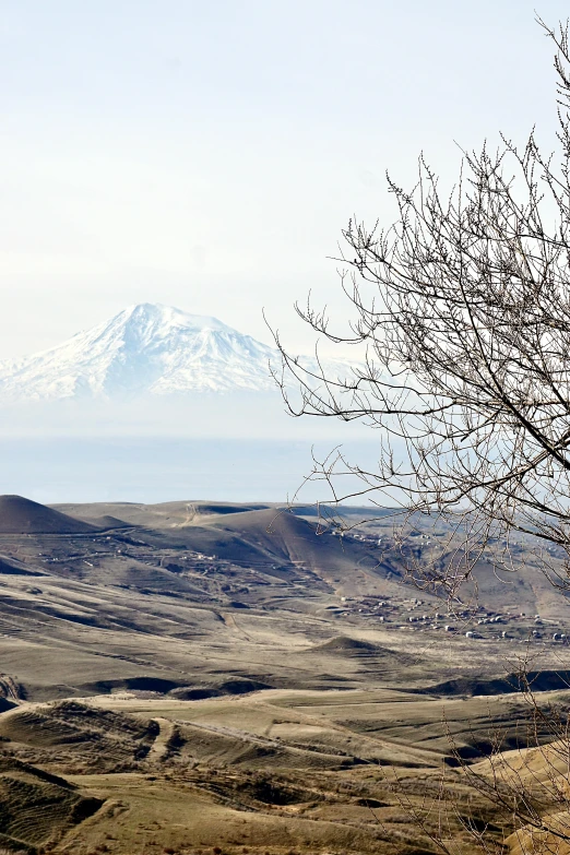 a snow - capped mountain behind some grass and trees