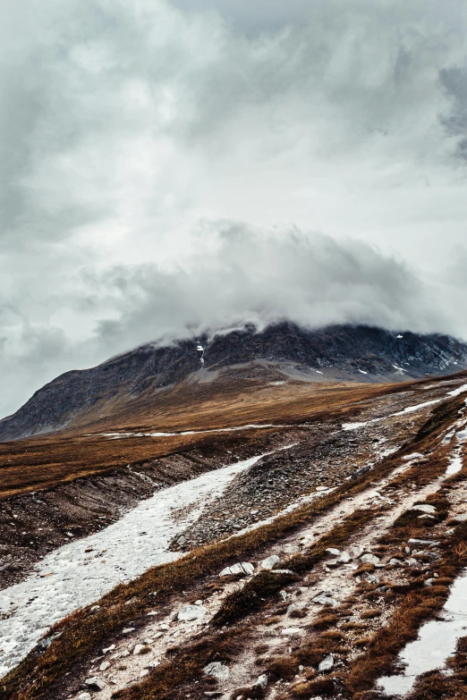 the road is covered with snow and weeds