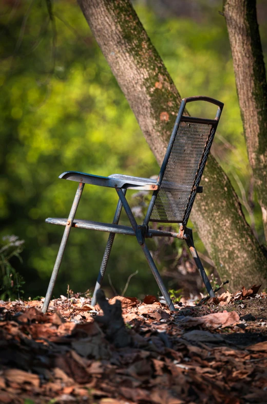a chair sits in the woods next to a tree