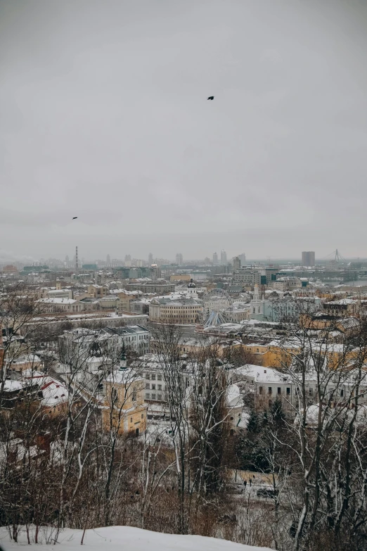 two birds flying above a large city and trees