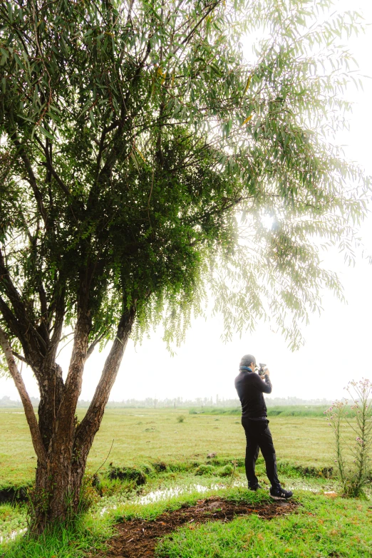 a man with camera taking a po of trees