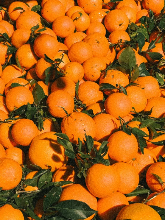 an enormous pile of oranges with leaves on them