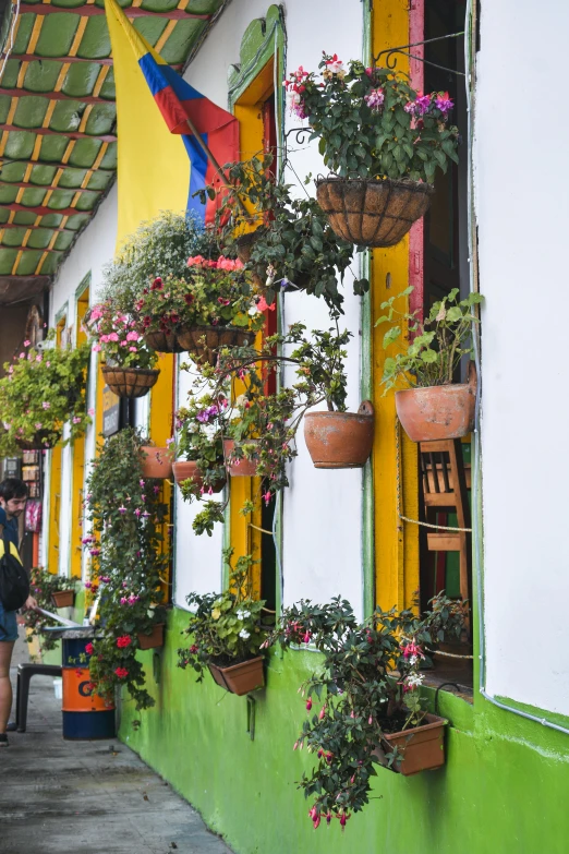 colorfully decorated window display with many potted plants