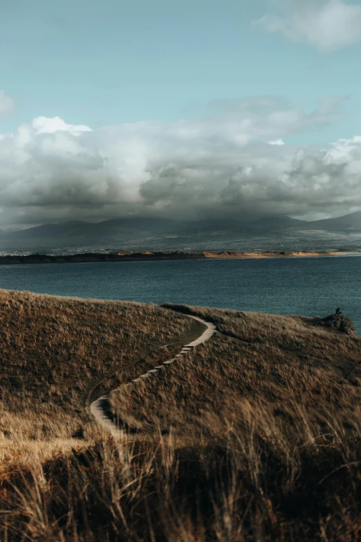 a pathway winds up a grassy hill next to the water