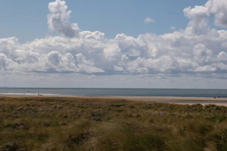 people on the beach flying a kite during the day