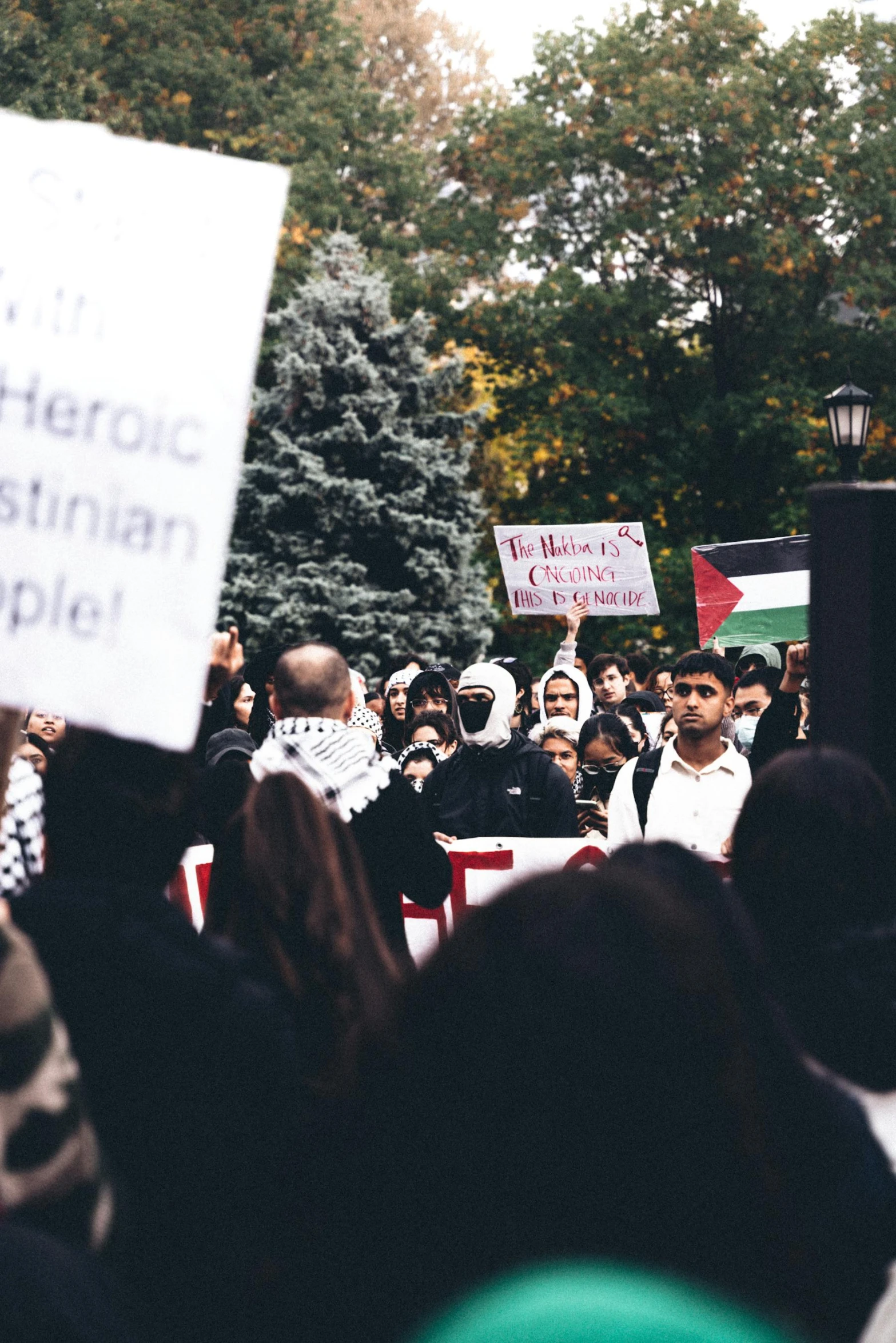 people protesting on the street during a protest