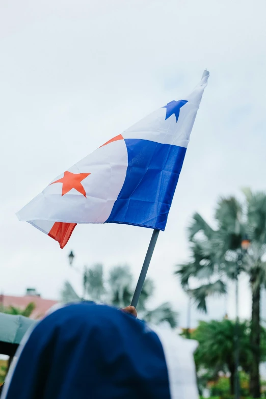 there is an american and texas flag on a stick