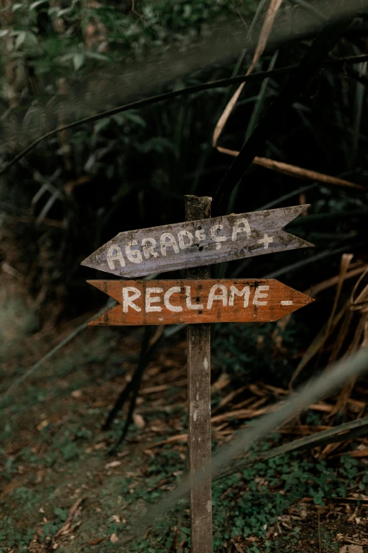 there are two wooden signs on the side of a path