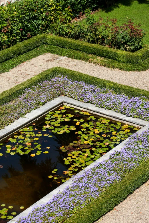 a pond is surrounded by many flowers and plants