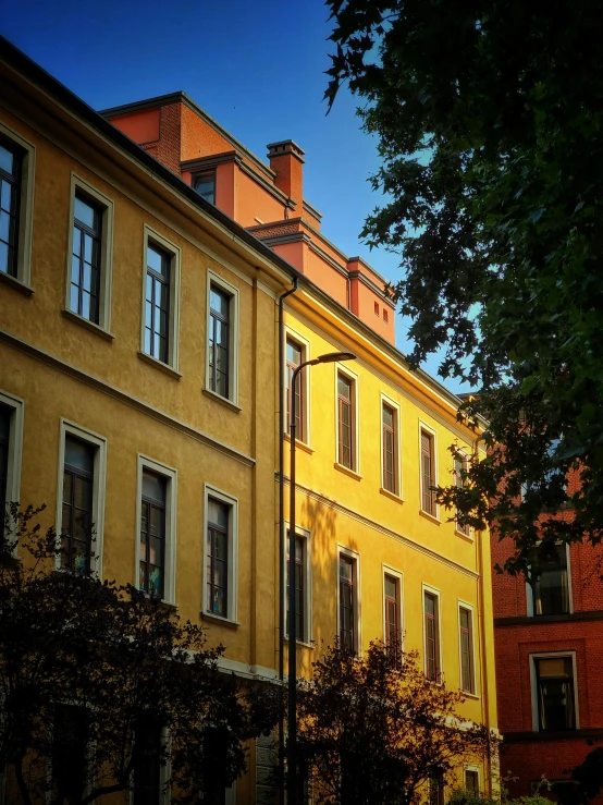 a couple of buildings that have trees in front of them