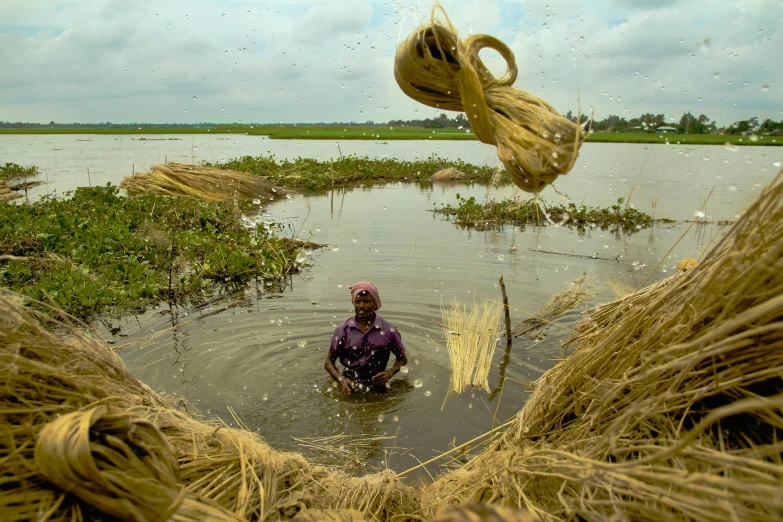 a man in the water surrounded by tall grass