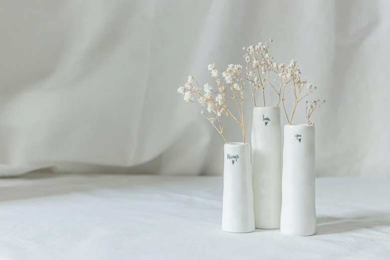 three white vases holding flowers on a white background