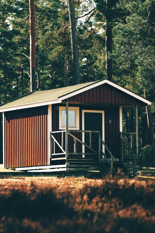 a wooden cabin sitting in the middle of a forest