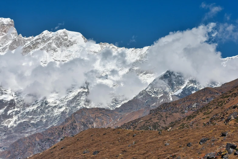 a lone cow standing on top of a hillside