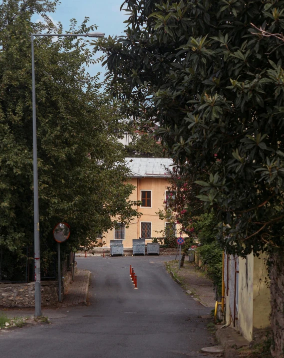 a tree lined alley leading to a two story house