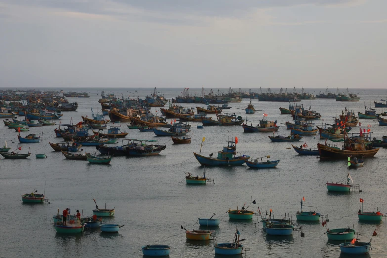 a large amount of boats in the water