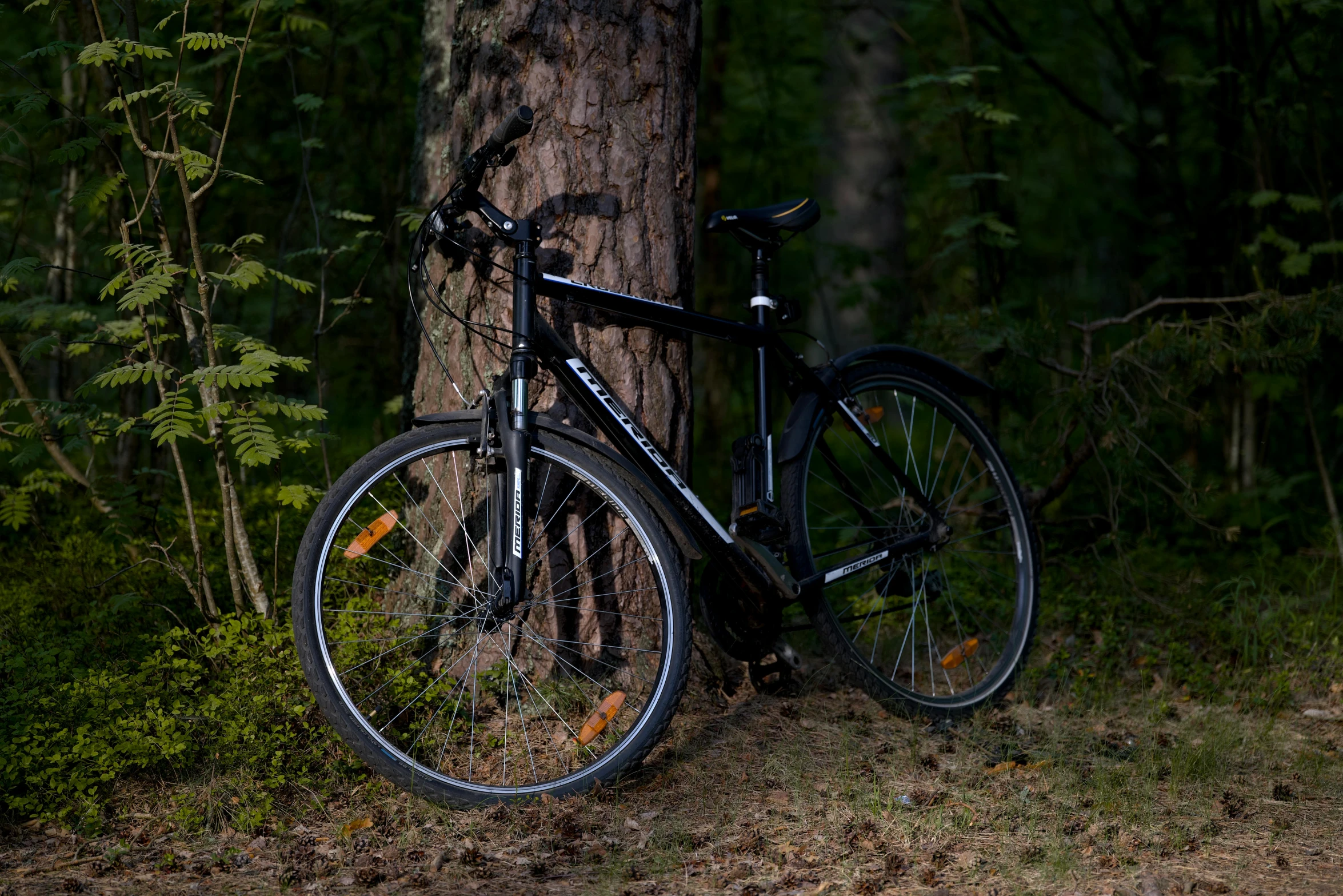 an old fashioned bike leaning against a tree