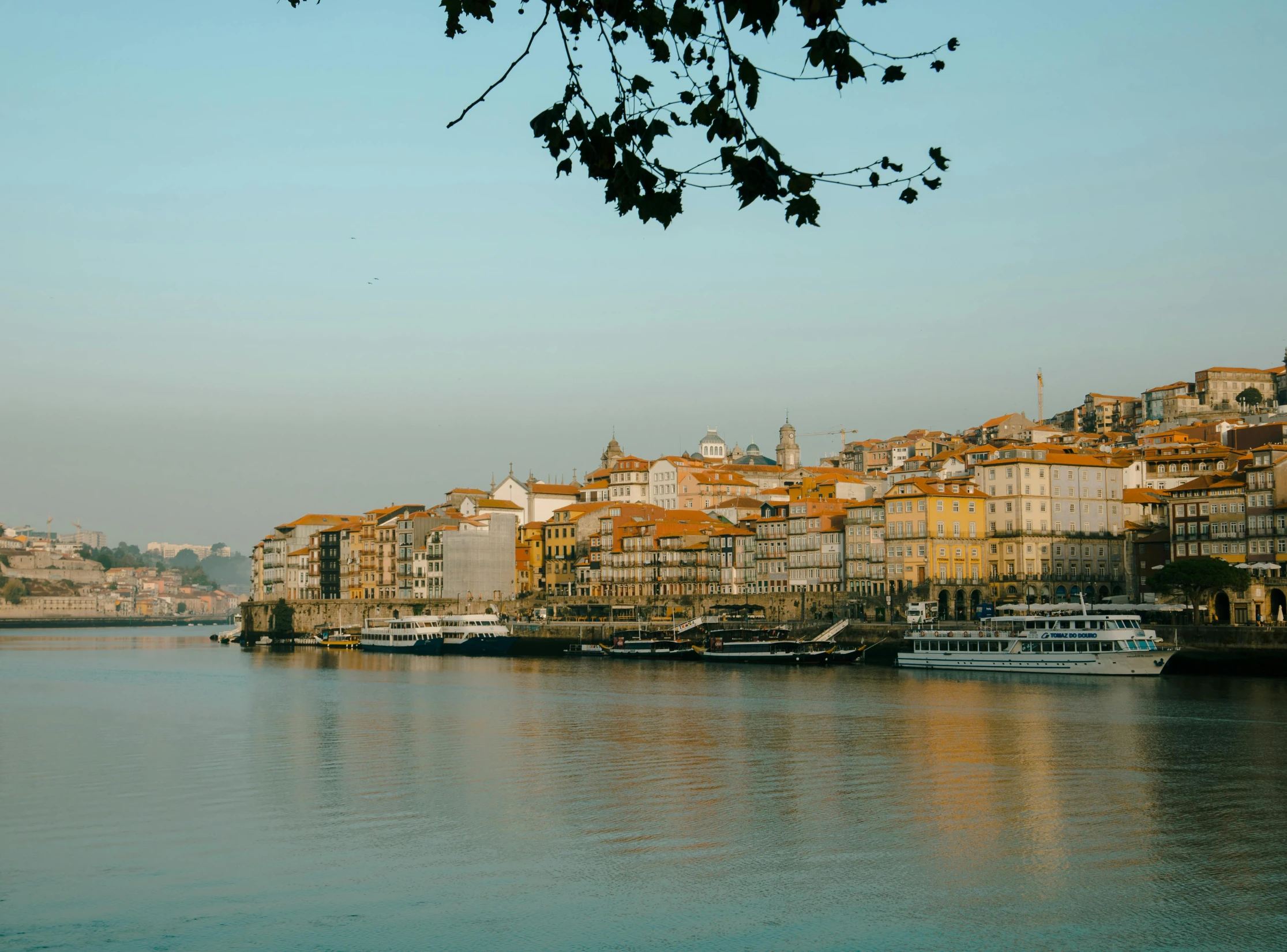 several boats are docked in the water by some buildings